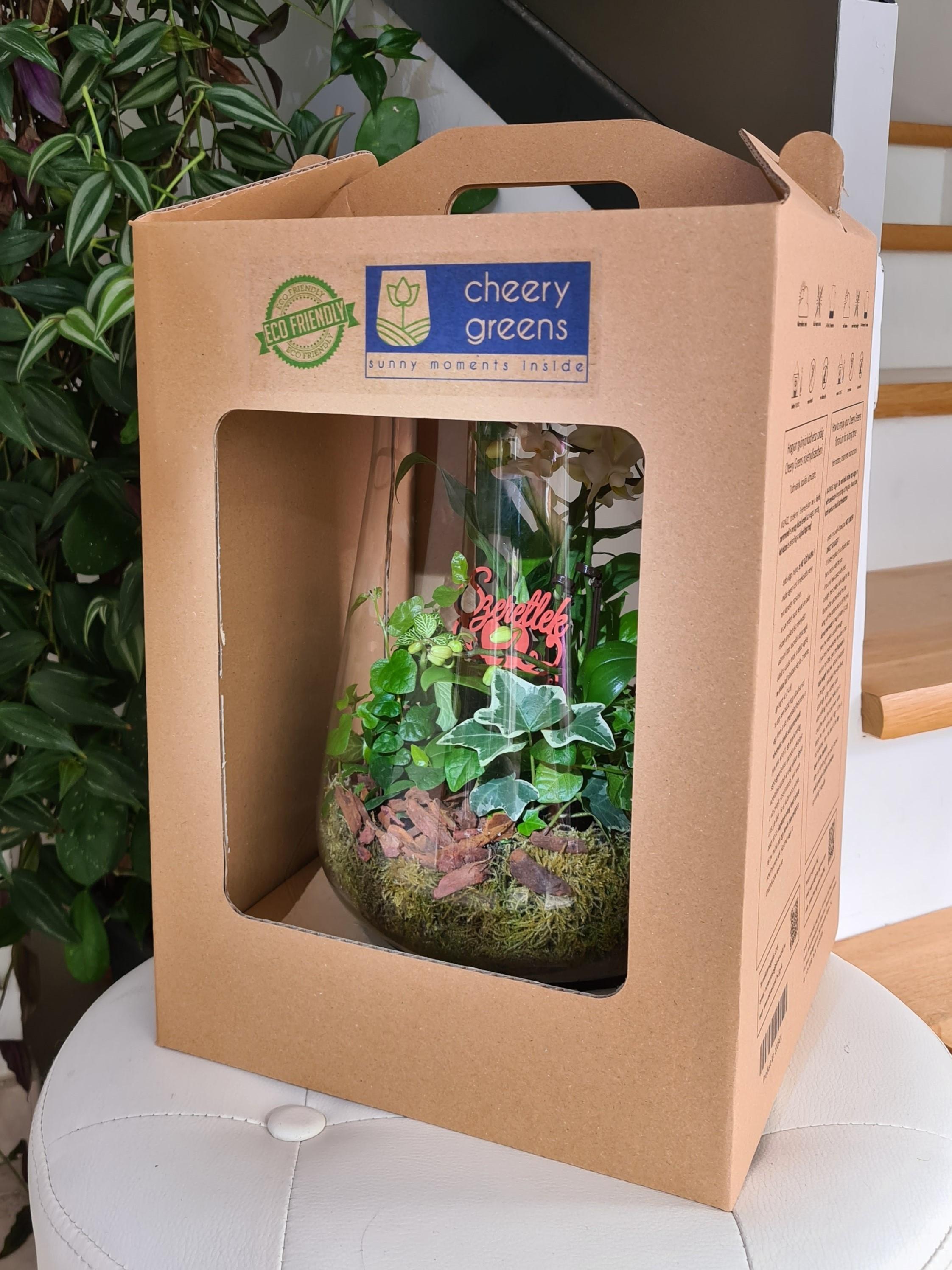 https://www.florariumwebshop.cheerygreens.com/custom/cheerygreensflorarium/image/data/ckeditor/Vilagos-rozsaszin-orchidea-vaza-uvegkehely-elevenzold-novenydisz-florarium-szeretlek-ajandek-meglepetés-kartondoboz-csomagolás.jpg